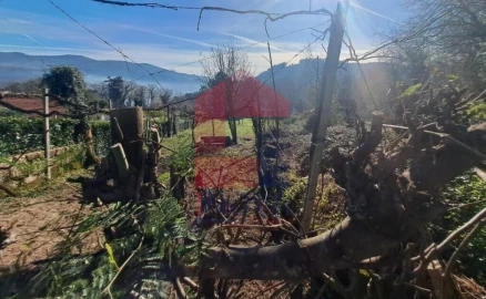 Terreno para Venda em Vade