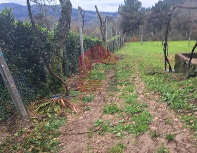 Terreno para Venda em Vade Foto 9