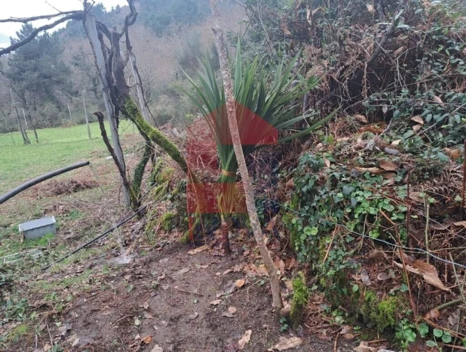 Terreno para Venda em Vade Foto 10