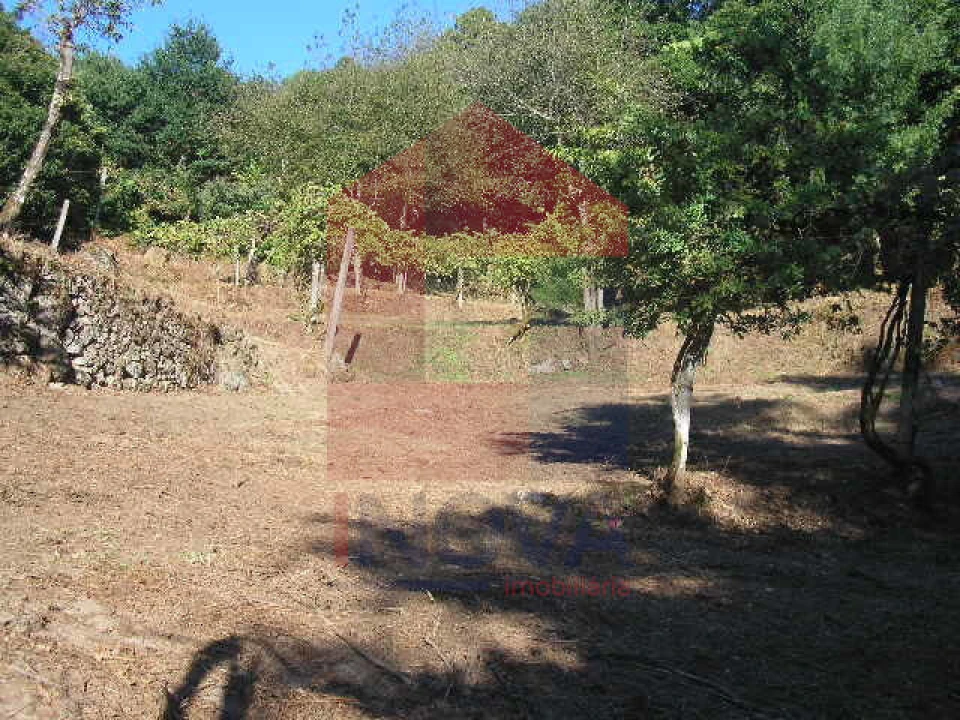 Terreno para Venda em Vade Foto 9