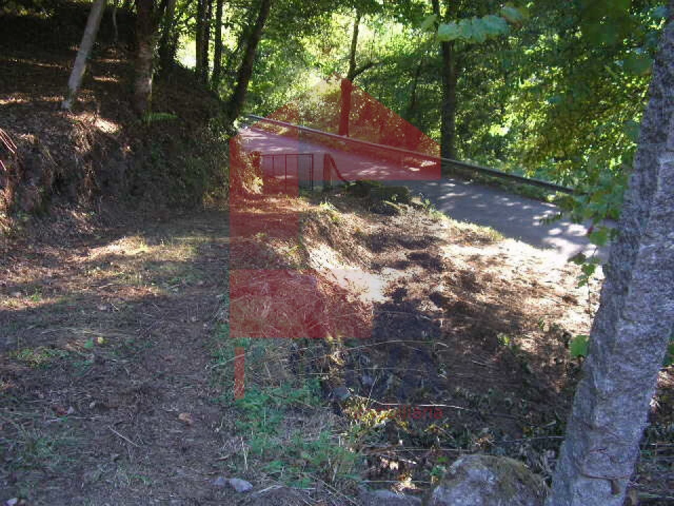 Terreno para Venda em Vade Foto 14