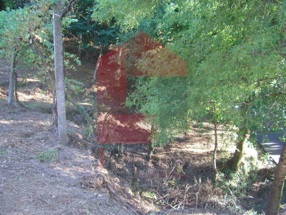 Terreno para Venda em Vade Foto 13