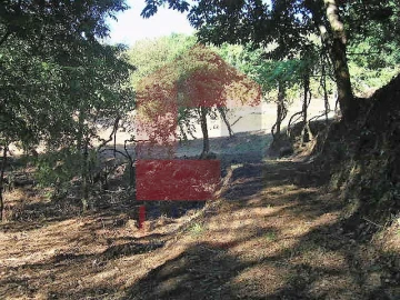 Terreno para Venda em Vade