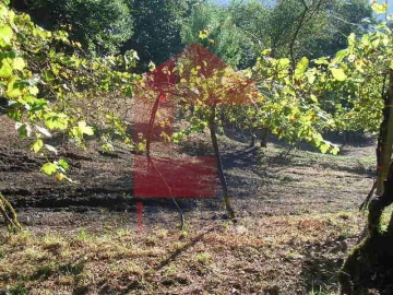 Terreno para Venda em Vade