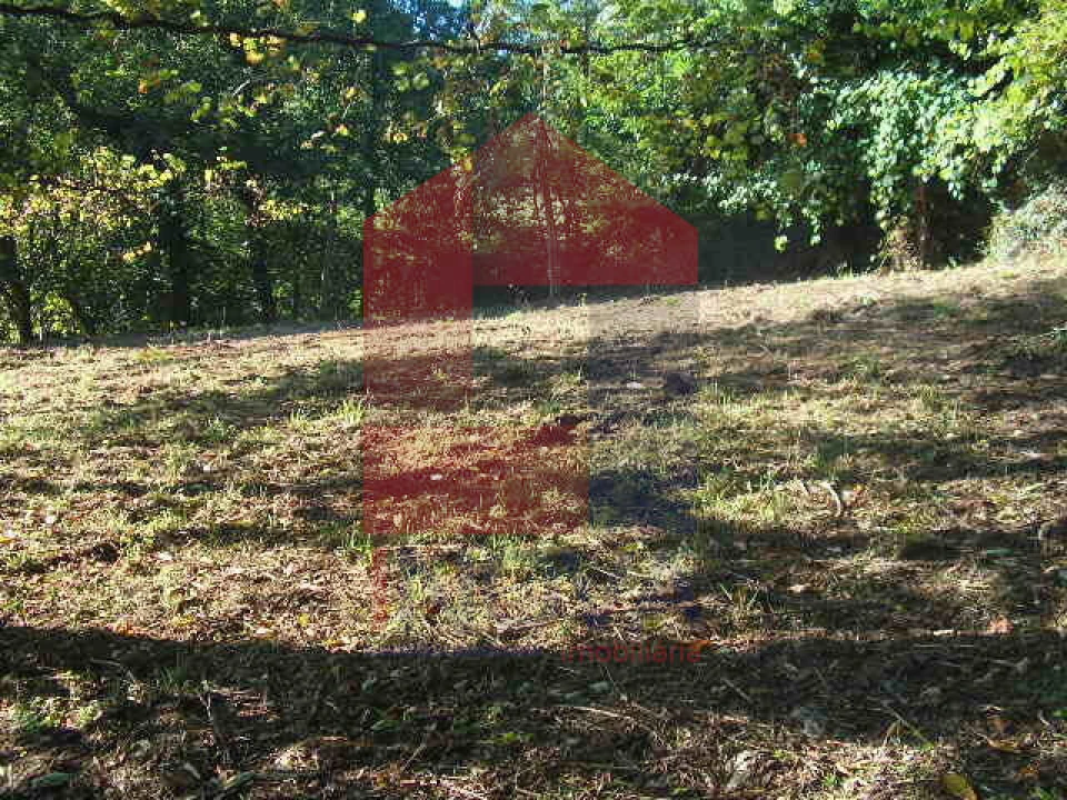 Terreno para Venda em Vade Foto 8