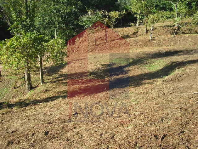 Terreno para Venda em Vade Foto 4