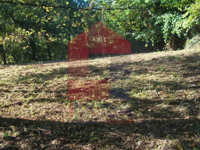 Terreno para Venda em Vade Foto 8
