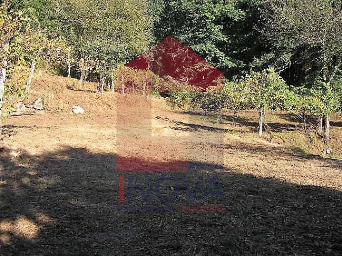 Terreno para Venda em Vade Foto 6