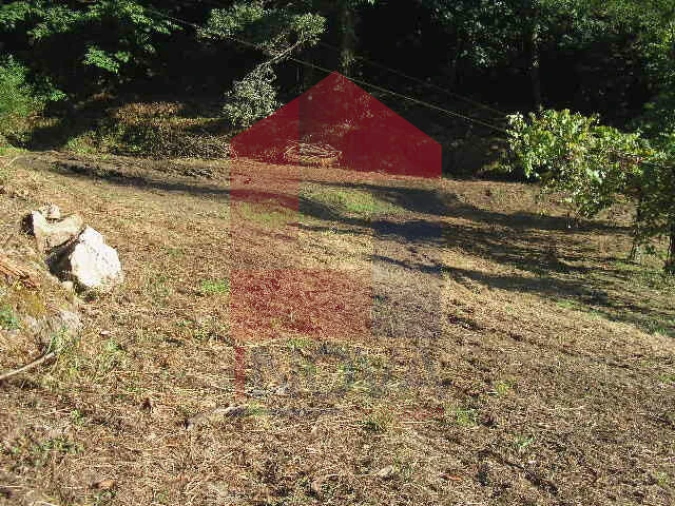 Terreno para Venda em Vade Foto 5