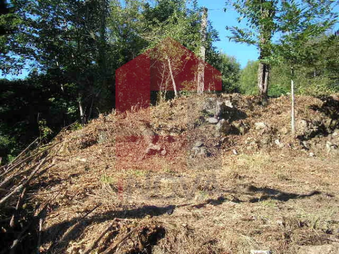 Terreno para Venda em Vade Foto 10