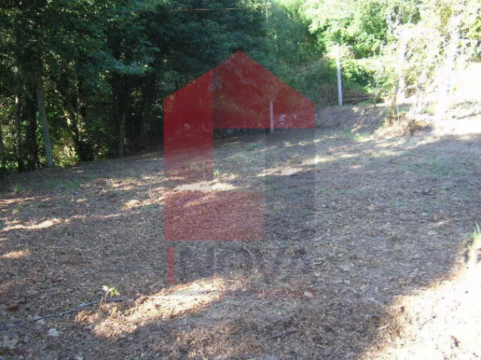 Terreno para Venda em Vade Foto 7