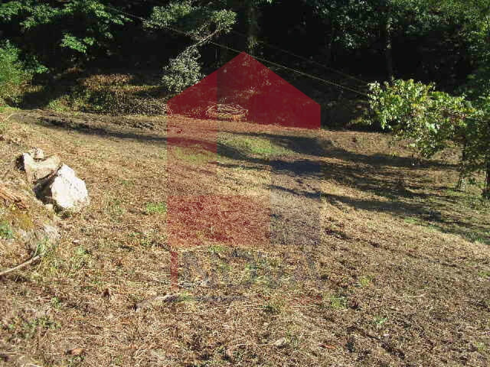 Terreno para Venda em Vade Foto 5