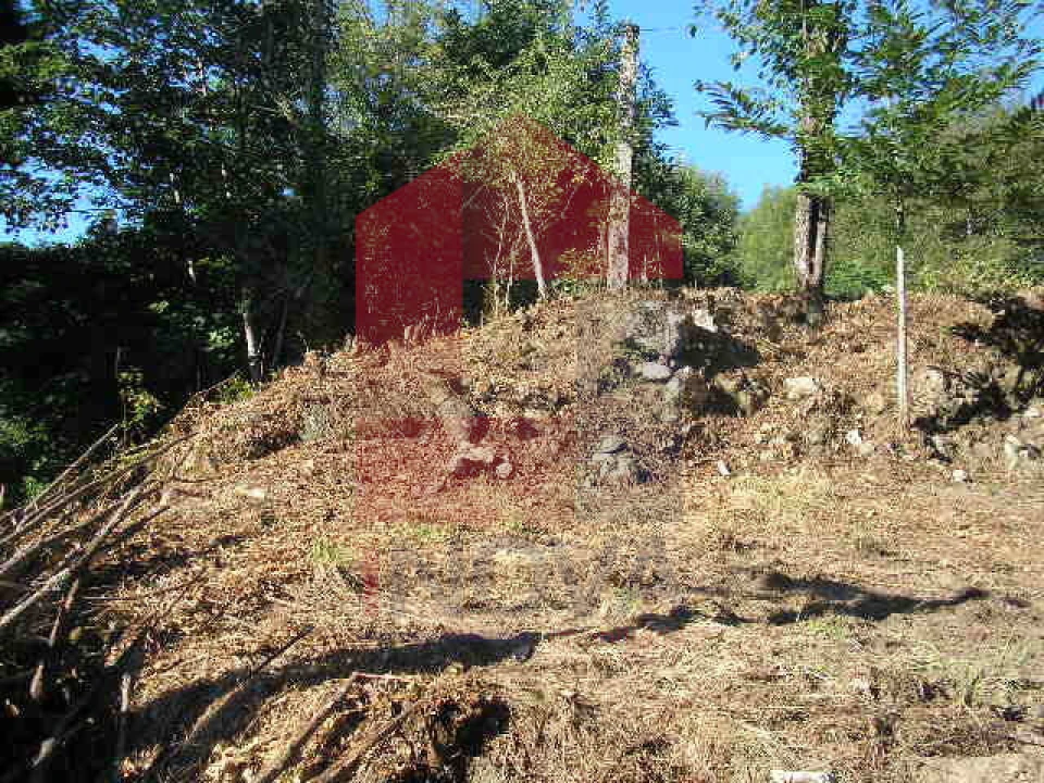 Terreno para Venda em Vade Foto 10