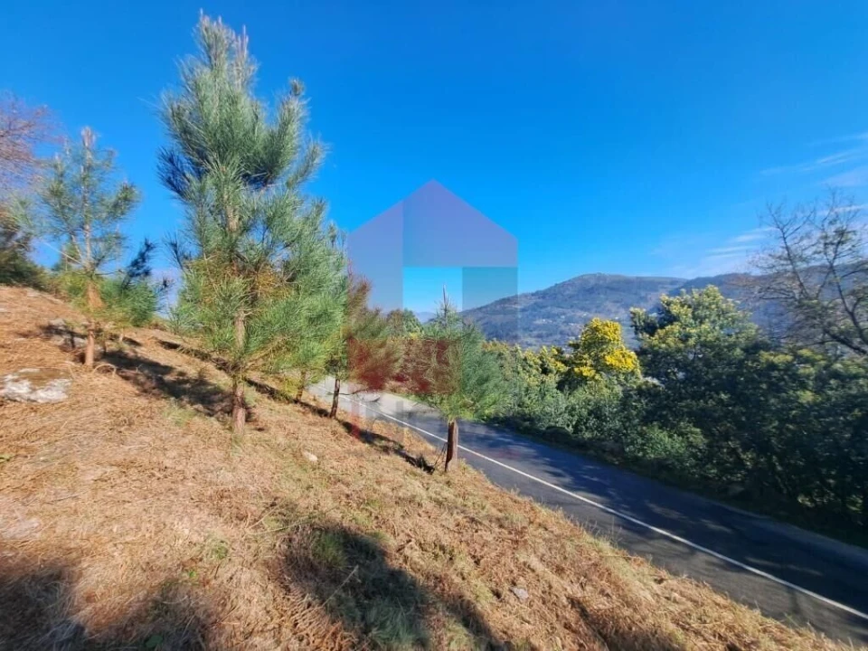 Terreno para Venda em Vade Foto 4