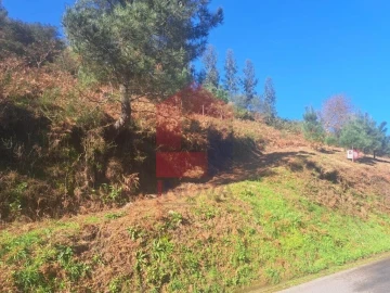 Terreno para Venda em Vade