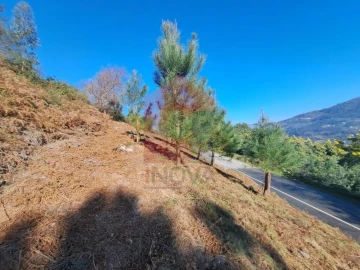 Terreno para Venda em Vade