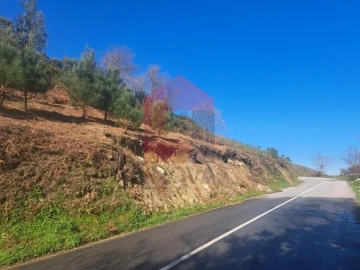 Terreno para Venda em Vade