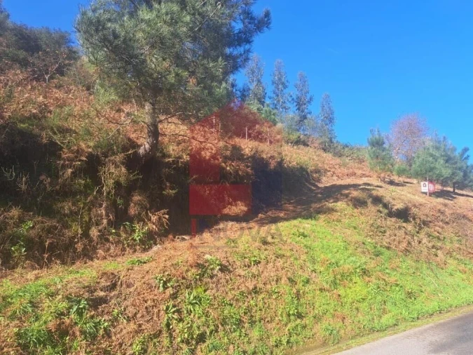 Terreno para Venda em Vade Foto 7