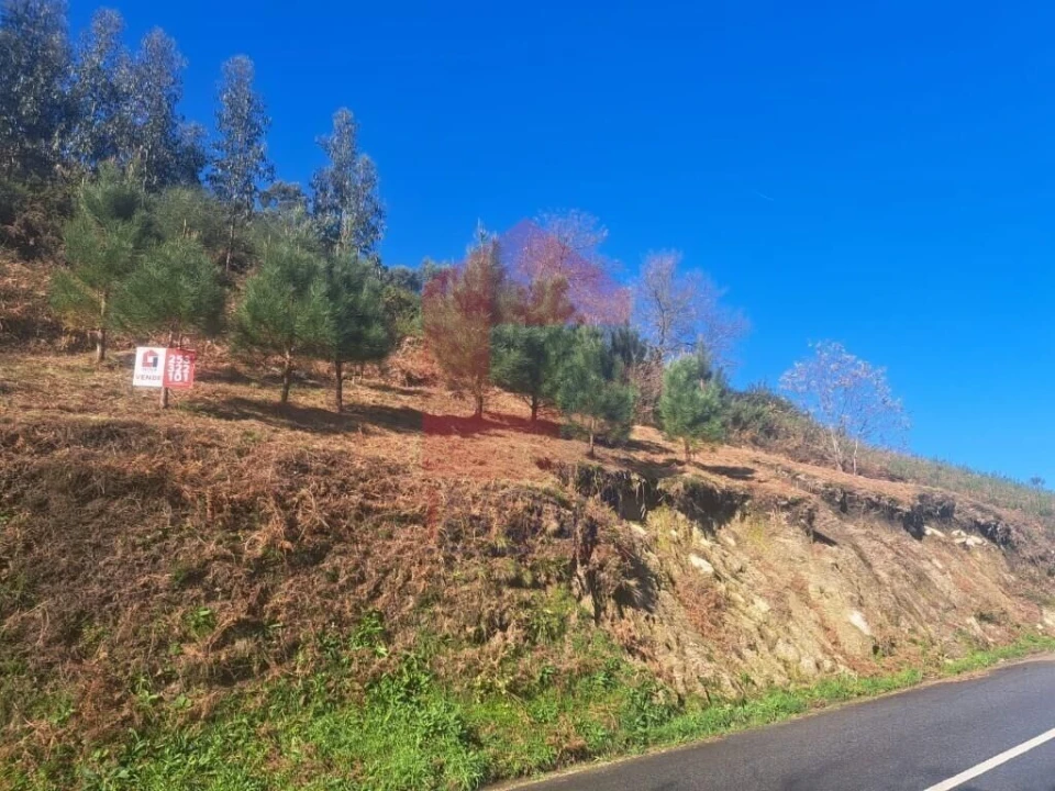 Terreno para Venda em Vade Foto 8