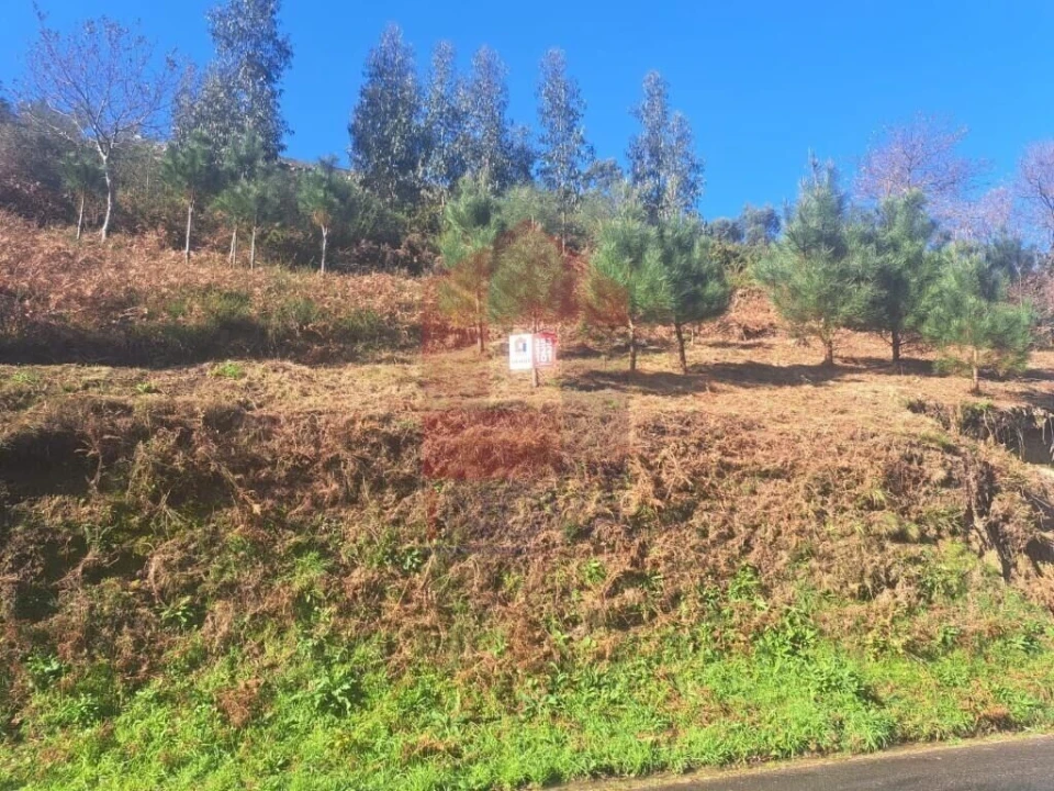 Terreno para Venda em Vade Foto 2