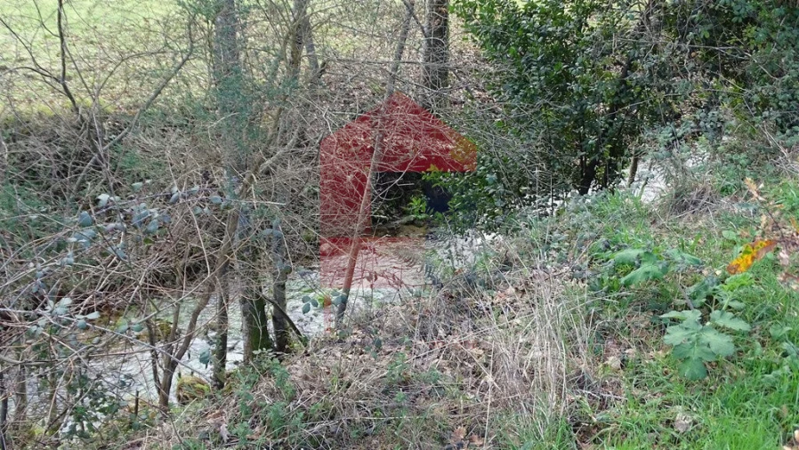 Terreno para Venda em Ribeira do Neiva Foto 4