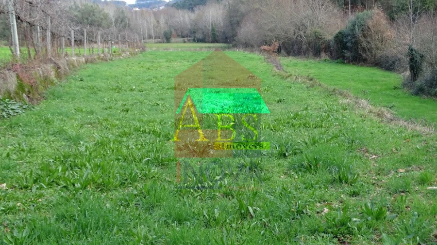 Terreno para Venda em Ribeira do Neiva