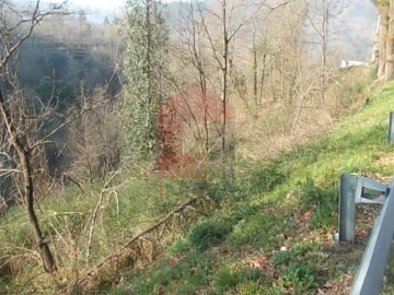 Terreno para Venda em Vade