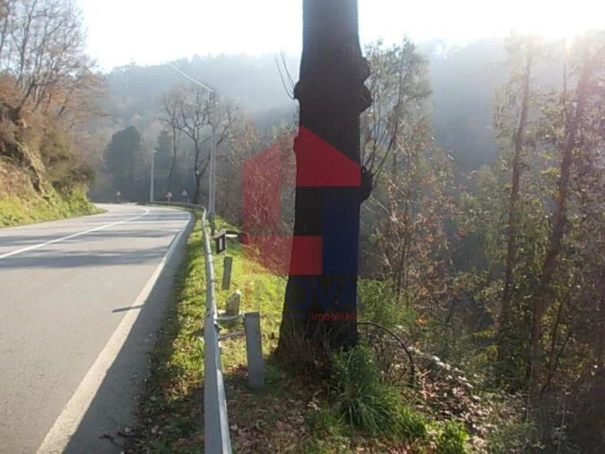 Terreno para Venda em Vade Foto 6