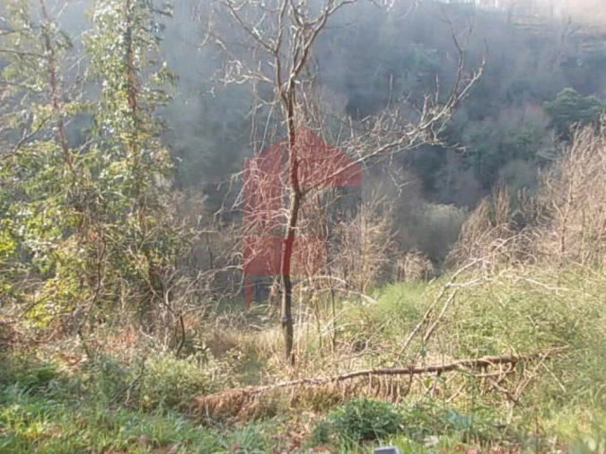 Terreno para Venda em Vade Foto 5