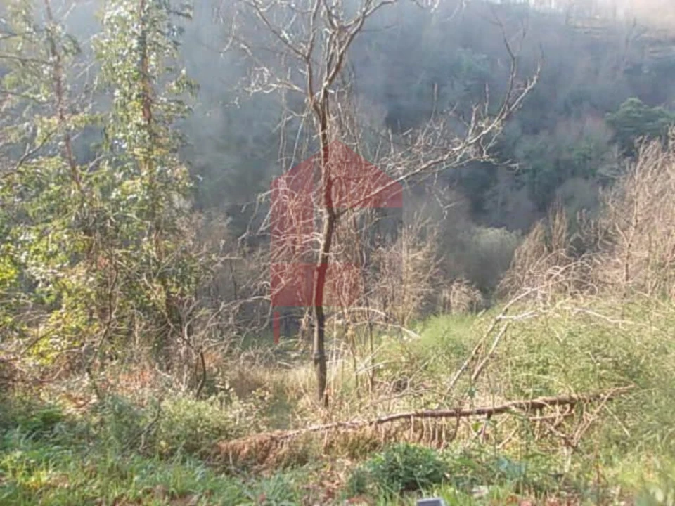 Terreno para Venda em Vade Foto 5