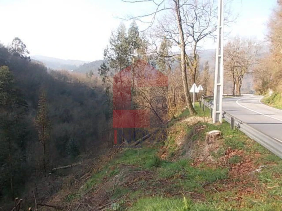 Terreno para Venda em Vade Foto 2