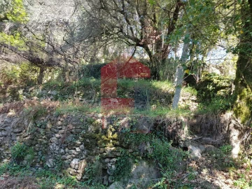 Moradia T0 para Venda em Ribeira do Neiva