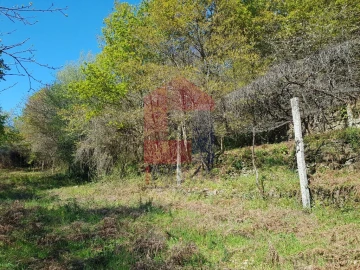 Moradia T0 para Venda em Ribeira do Neiva