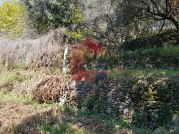 Moradia T0 para Venda em Ribeira do Neiva