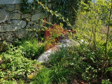 Moradia T0 para Venda em Ribeira do Neiva