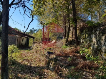 Moradia T0 para Venda em Ribeira do Neiva