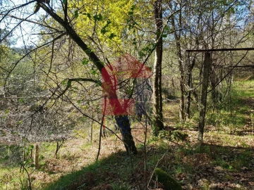 Moradia T0 para Venda em Ribeira do Neiva