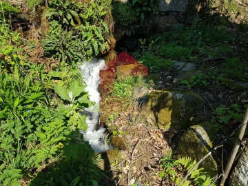 Moradia T0 para Venda em Ribeira do Neiva