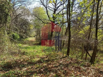 Moradia T0 para Venda em Ribeira do Neiva