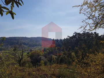 Moradia T0 para Venda em Ribeira do Neiva