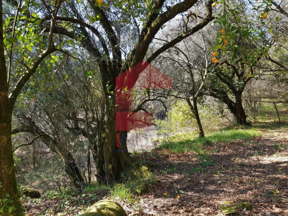 Moradia T0 para Venda em Ribeira do Neiva Foto 13