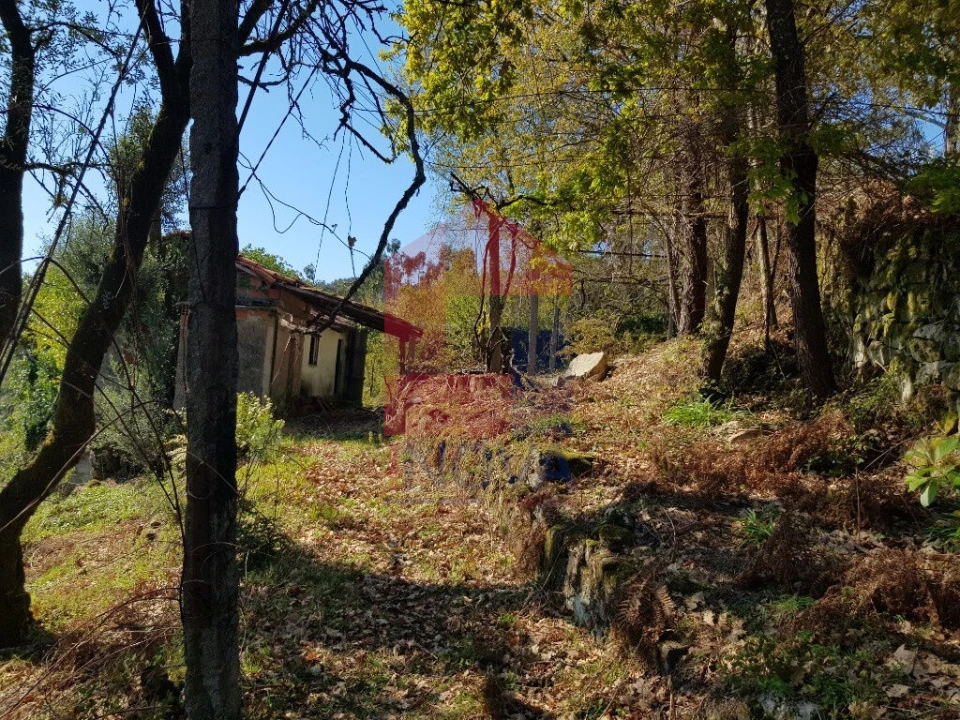 Moradia T0 para Venda em Ribeira do Neiva Foto 2