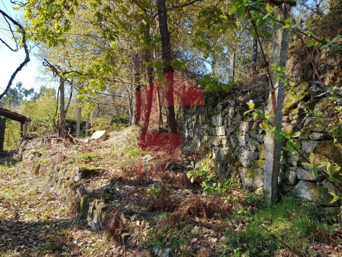 Moradia T0 para Venda em Ribeira do Neiva Foto 6