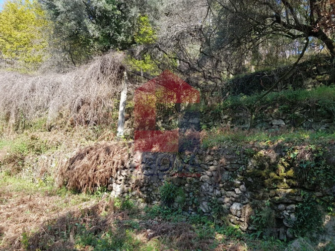 Moradia T0 para Venda em Ribeira do Neiva Foto 10