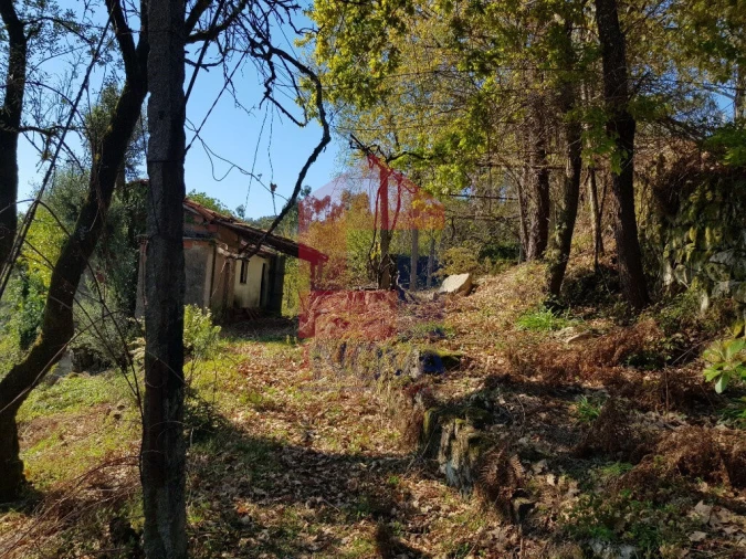 Moradia T0 para Venda em Ribeira do Neiva Foto 2