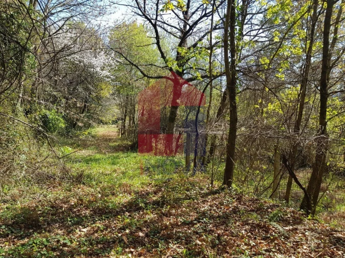 Moradia T0 para Venda em Ribeira do Neiva Foto 11