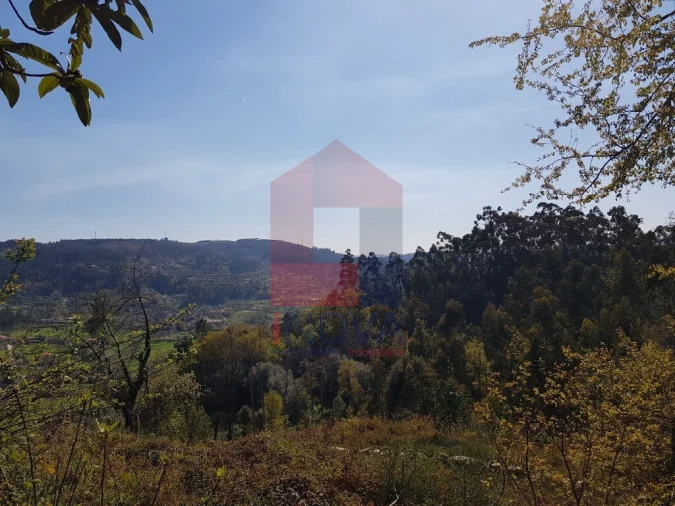 Moradia T0 para Venda em Ribeira do Neiva Foto 14