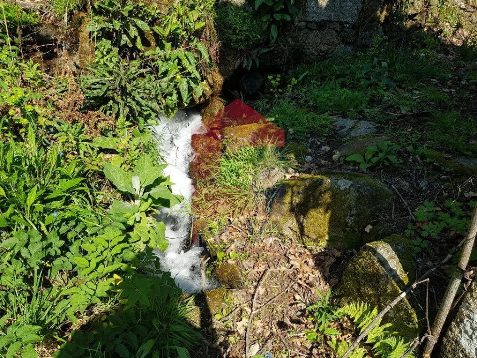 Moradia T0 para Venda em Ribeira do Neiva Foto 16