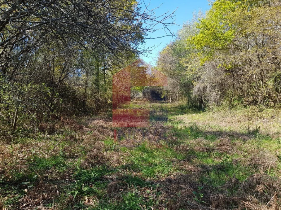 Moradia T0 para Venda em Ribeira do Neiva Foto 7