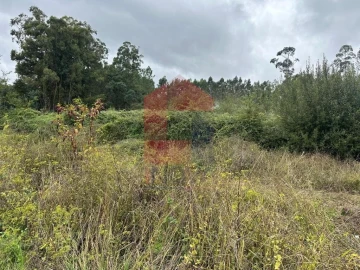 Terreno para Venda em Ribeira do Neiva